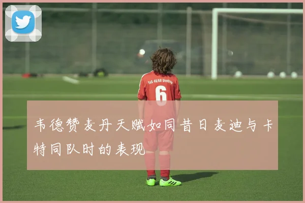 韦德赞麦丹天赋如同昔日麦迪与卡特同队时的表现